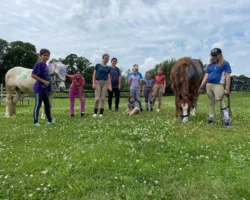 photo-2024-07-09-16-14-24 photo-2024-07-09-16-14-24