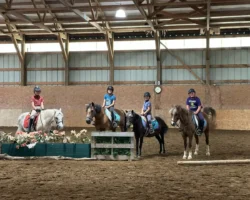 photo-2024-07-12-13-34-31 photo-2024-07-12-13-34-31