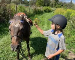 photo-2024-08-20-21-25-08 photo-2024-08-20-21-25-08